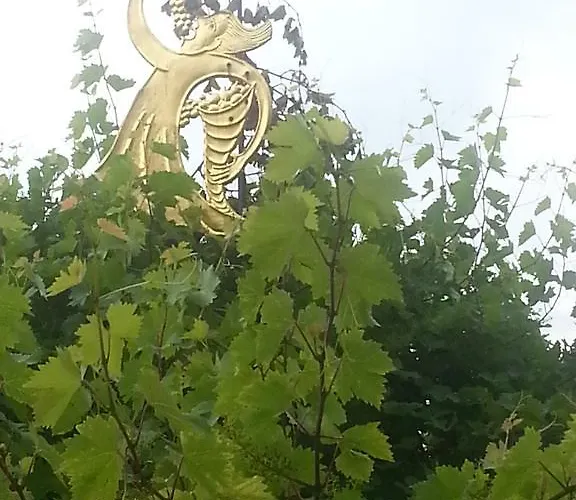 Prázdninový dům Haus Seegarten *