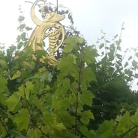 Casa de Férias Haus Seegarten *